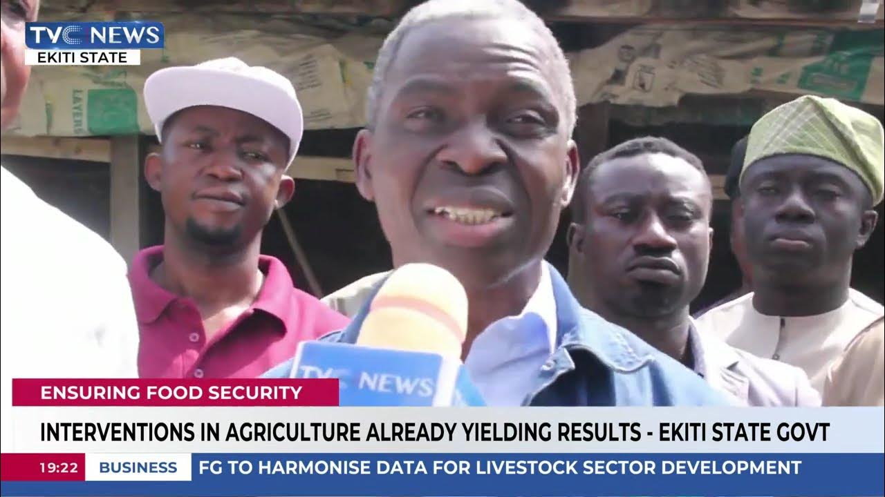 Interventions In Agriculture Already Yielding Results – Ekiti State Govt