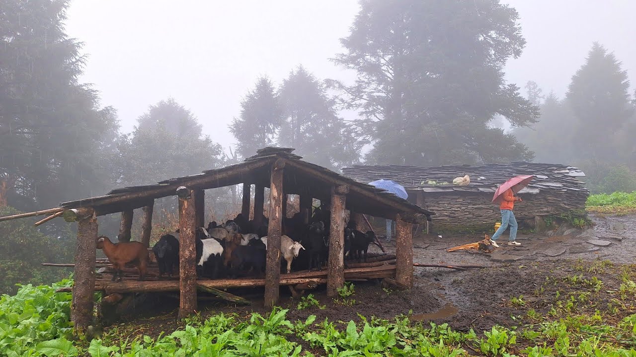 Nepali Mountain Village Life in Rainy Season | Most Peaceful And Relaxing Village Life | Real Life |