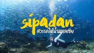 Sipadan EP.01 สวรรค์นักดำน้ำ