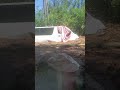 😯😯😪🥺පවු දෙයියනේ මිනිස්සු#viral #shortvideo #travel #destroy #newreal