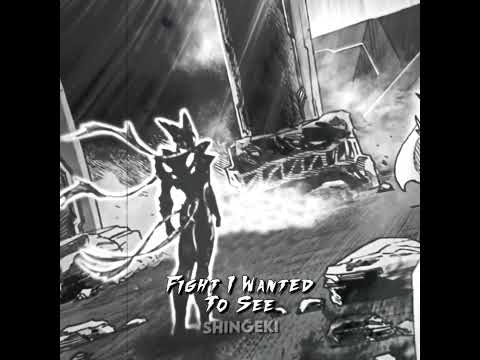 Garou vs Boros