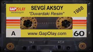 ✔️ Sevgi Aksoy - Duvardaki Resim 1988 Resimi