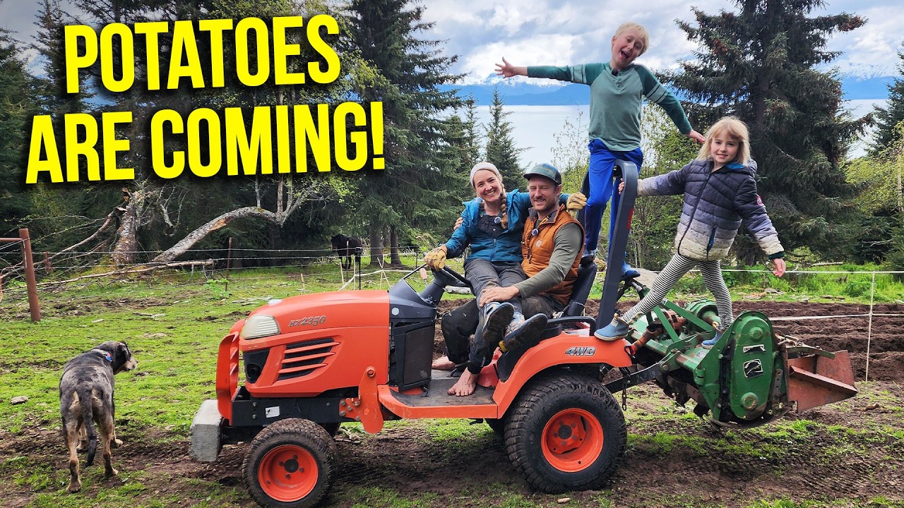 We Damaged our Tractor! Prepping the Land for Potatoes | Kilcher Homestead