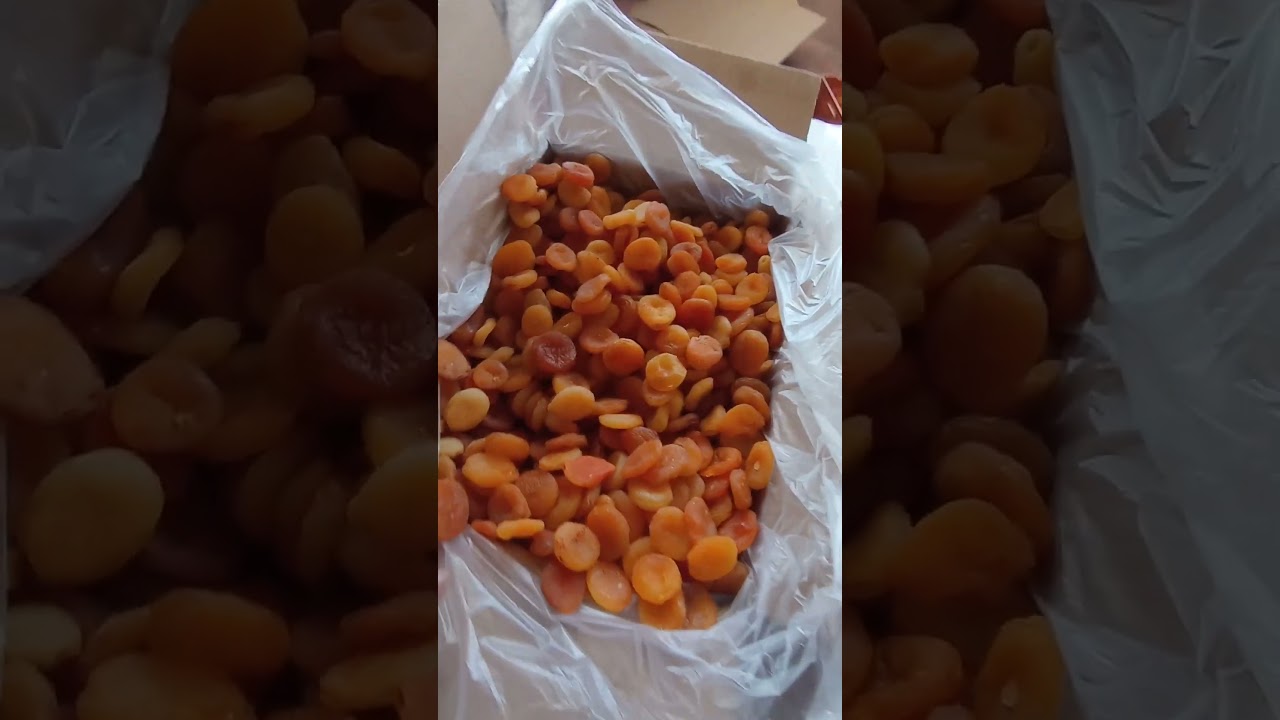 Dried Apricots Sulphured Type Size 1