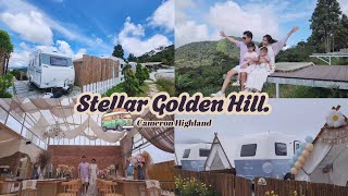 GLAMPING at Stellar Golden Hill Cameron Highland | Luxe Tent 🇲🇾 Most Luxurious Glamping in Malaysia