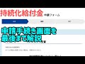 持続化給付金 法人の申請手順 最後まで説明します（注意点も解説）【中小企業診断士YouTuber マキノヤ先生　経営コンサルタント 牧野谷輝】#348
