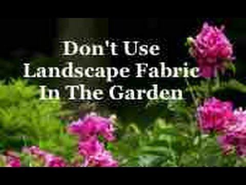 Landscape Fabric In The Garden, Landscape Fabric Garden