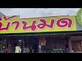 บ้านมด ทุเรียน ขนมของฝาก | ทุเรียนบ้านมด (ทุเรียนภูเขาไฟ)    | อ.ปากช่อง ติดถนนมิตรภาพ