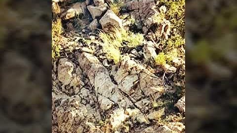 صلاة الفجر للقارئ حذيفه محمد