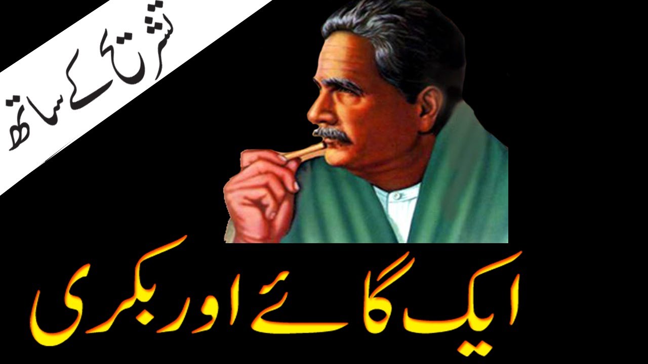 Aik Gaye Aur Bakri Adbi Diary Allama Iqbal Poetry Urdu