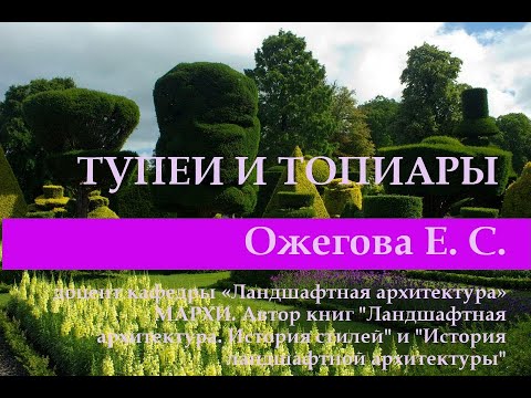 Тупеи и Топиары