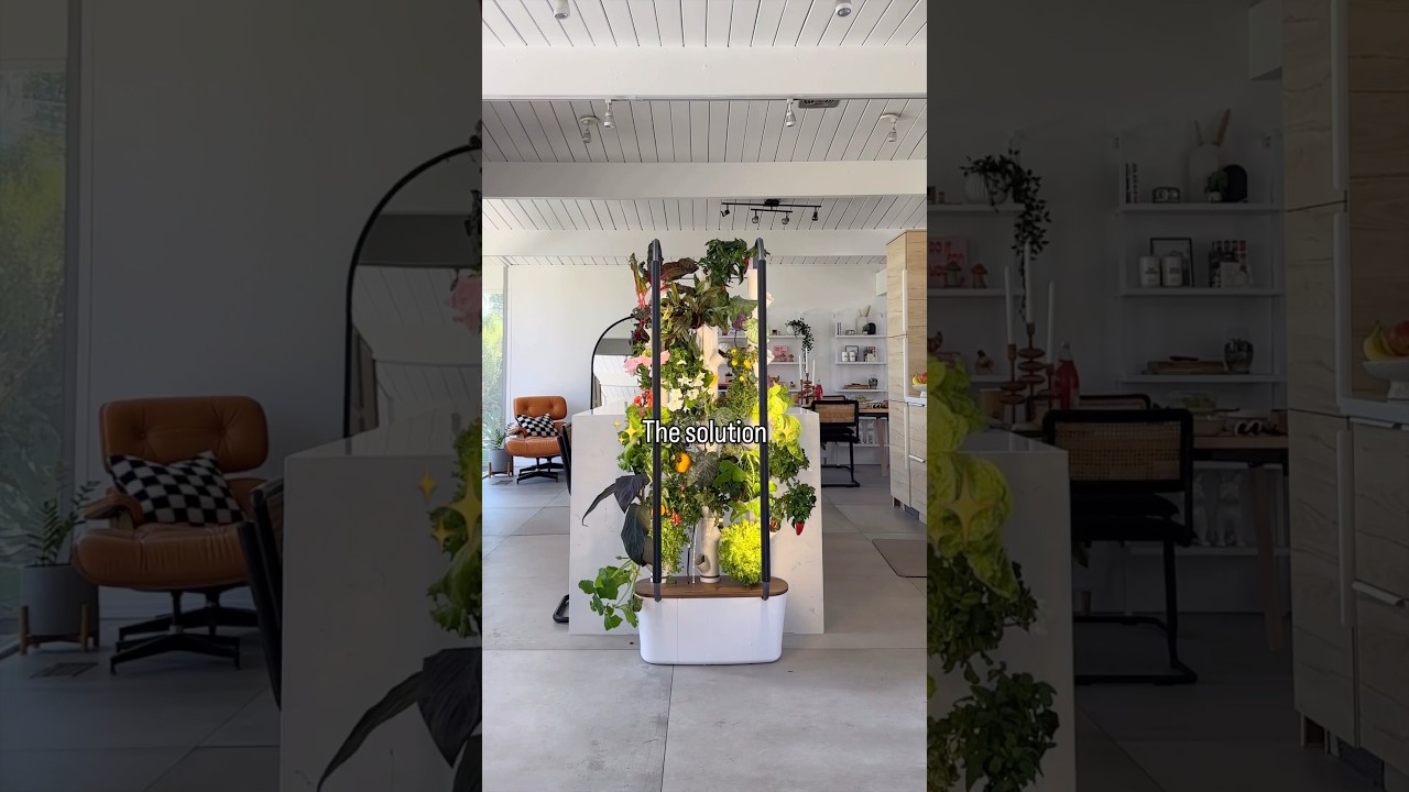 Clean food, no compromise ✅🌱