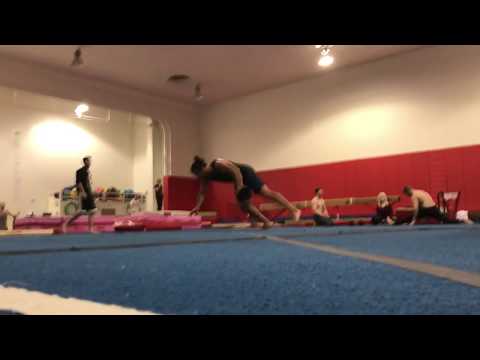 Raiz reversao (raiz scissor) attempt