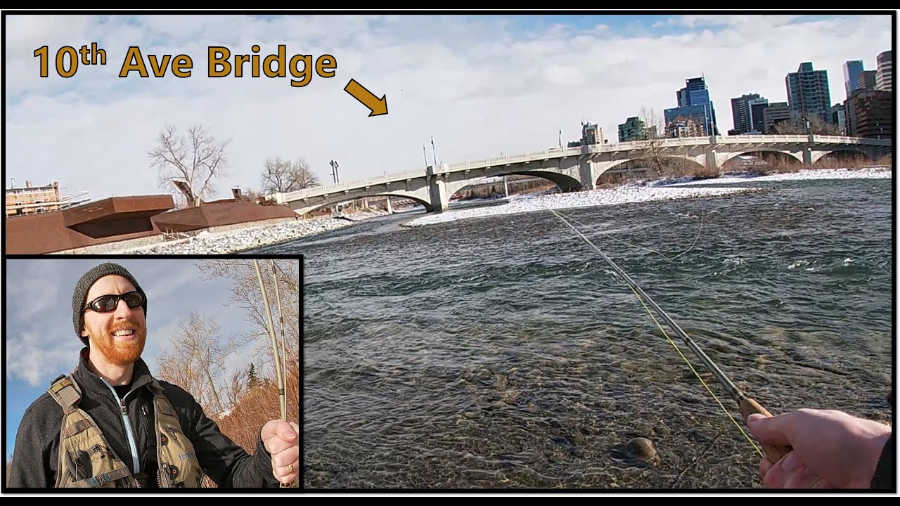 Winter Fly Fishing on the BOW RIVER in Downtown Calgary [SCOUT'S RUN