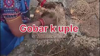 Video Mini Vlogg With Gobar K Uple