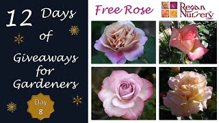 🌹 Regan Nursery Small Biz Spotlight & Giveaway // Day 8 of 17 Gardener Giveaways // (Ended)