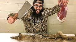 Coyote Trapping on Kansas Farmland (Catch Clean Cook)