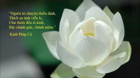 90. Lễ bái, cúng dường Xá lợi, Kim thân Phật, cây Bồ-đề... - MI TIÊN VẤN ĐÁP