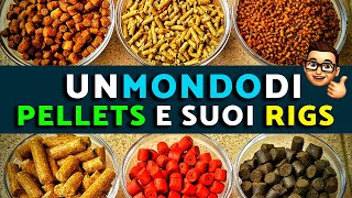 Download Lagu PELLETS FEEDER e suoi RIGS ★ Carpfishing e Pesca al Colpo 2021 ★ Canale Emiliano e Santerno MP3