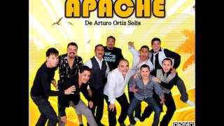 Video thumbnail of "La Cajita Musical - Tropicalisimo Apache En Vivo"
