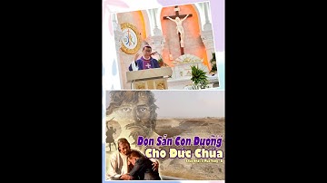 Chúa nhật II mùa vọng năm B_Dọn đường cho Chúa_Bài giảng của Đức cha Phêrô Nguyễn Văn Khảm