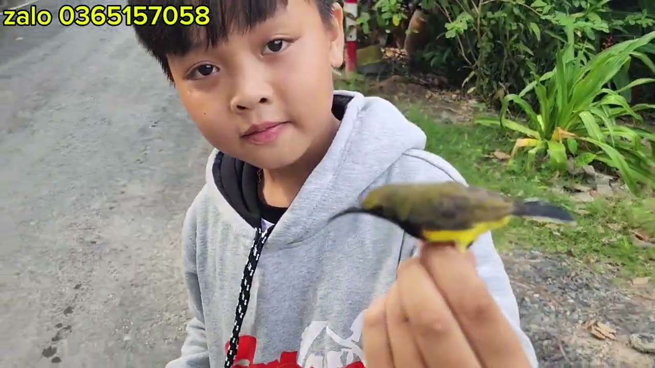 TES MỒI LÀO  ĐỂ  GIAO  CHO KHÁCH  ỞI  AN GIANG 