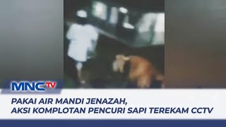 Pakai Air Mandi Jenazah, Aksi Komplotan Pencuri Sapi di Bangkalan Terekam CCTV - LIS 22/08