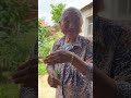 ¿Es bonito el pulsero hecho por la abuela con hierba de caballo? Recuerdos de la infancia