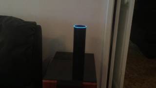 amazon echo ask google skill  - how to cook a steak