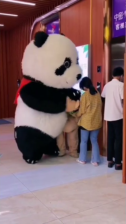 Panda fun😂😂😂😂😂😂😂😂😂😂😂😂😂😂😂😂😂😂😂😂😂😂😂😂😂😂😂😂😂😂😂😂