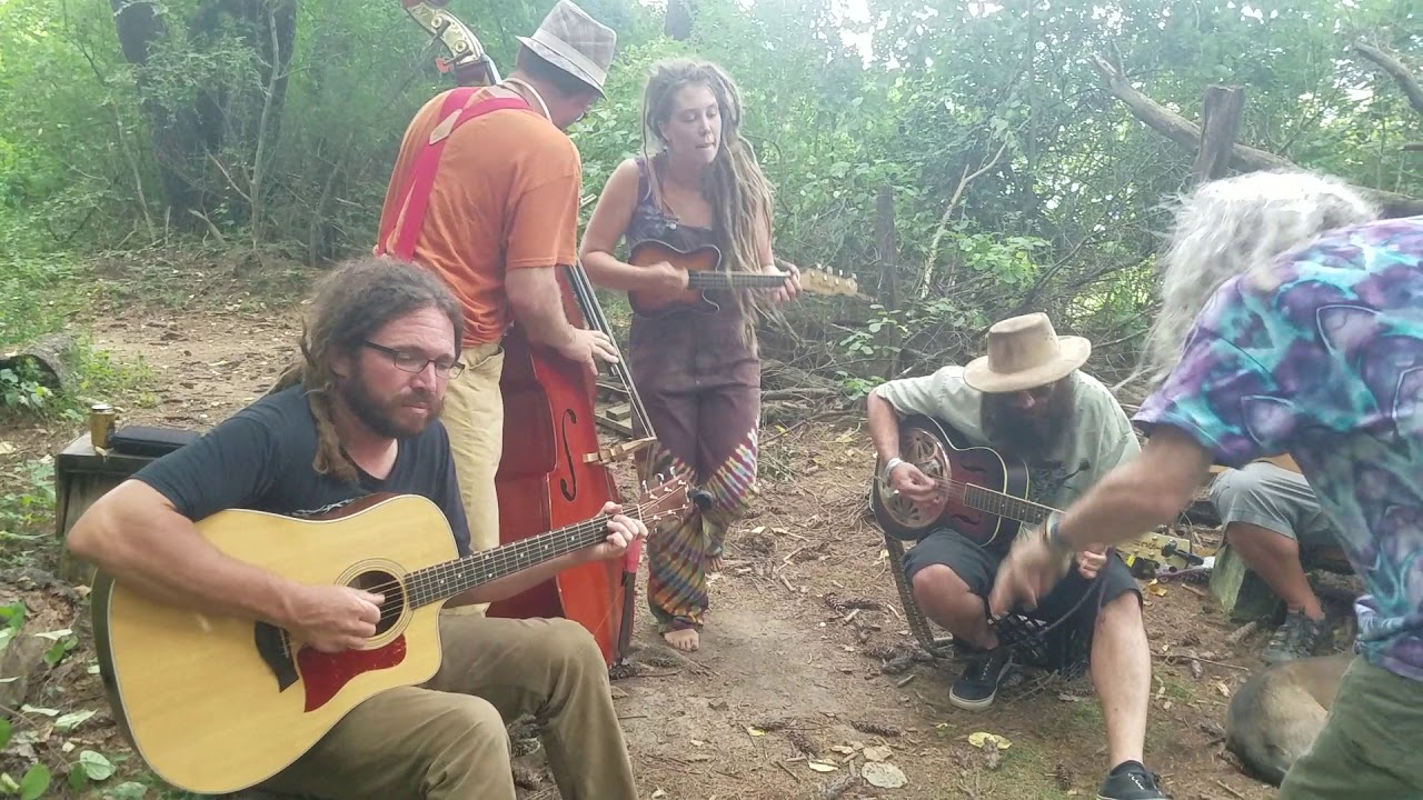 Echo from the Holler - Free Range Strange (original)