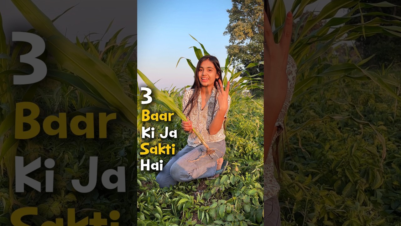 Thand me Makka🌽 ki kheti 🔥 