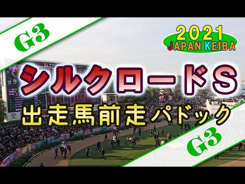 【競馬パドック】シルクロードS（2021年）前走パドック