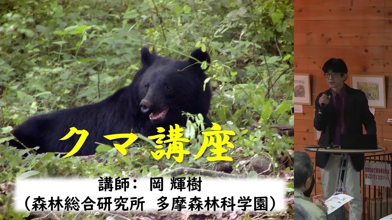 森林総合研究所 多摩森林科学園／企画展（2025年）_クマ講座