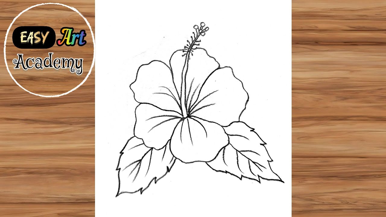 Gudhal Ki Easy Drawing Banana Seekhein ✍️ | Hibiscus Flower Drawing with Pencil