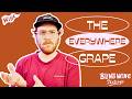 Why This One Grape Shows Up in EVERY Wine