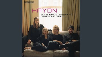 String Quartet in G Minor, Op. 20 No. 3, Hob. III:33: I. Allegro con spirito