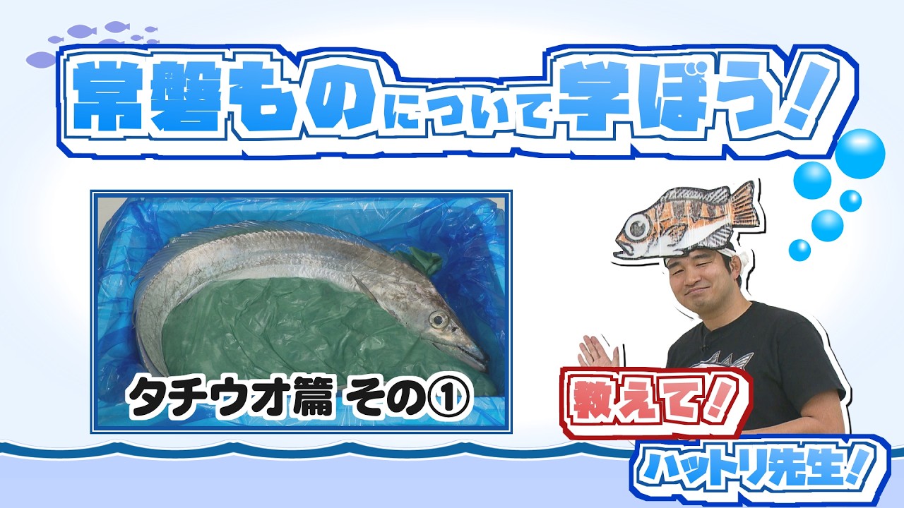 Let's learn about the fish of the Joban region!] Hairtail Part 1