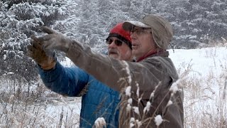 Celebrity In Search Of A Classic Kilcher Christmas Tree 🎄 Alaska: The Last Frontier Net Worth