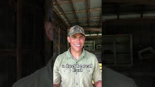 Southern Word Of The Day Bitmo