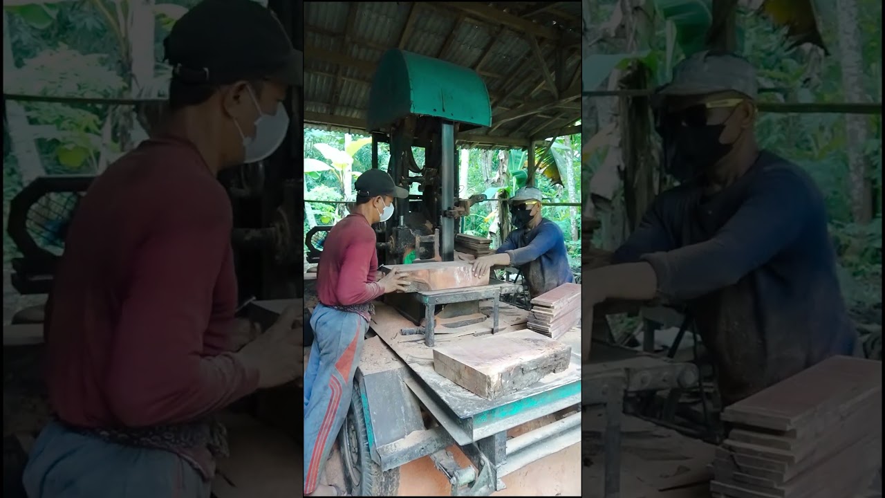 Old Sapodilla Tree Slab Cutting Process! 