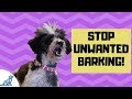 How To Teach Your Dog To Be Quiet By Barking On Command!