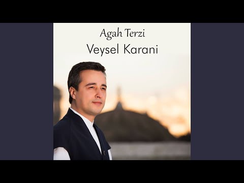 Veysel Karani