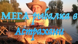 Рыбалка на сома