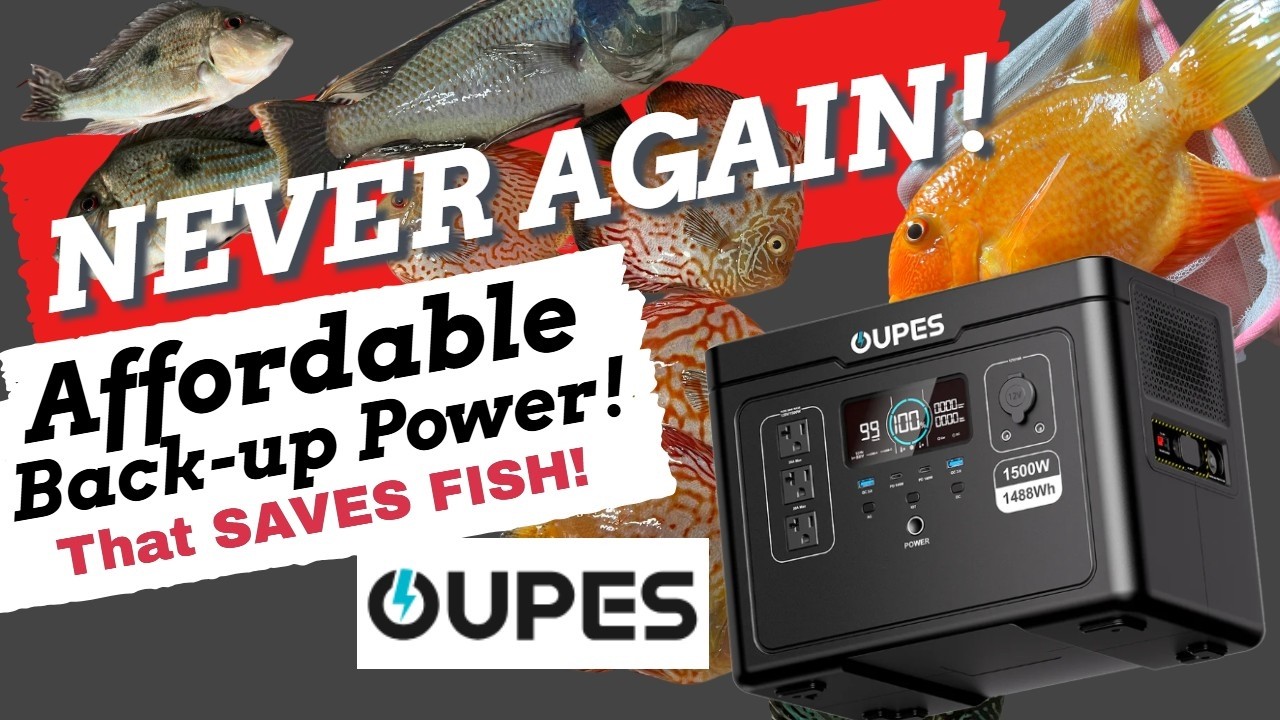 Losing Power Doesn't Have to Mean LOSING FISH! - *OUPES EXODUS 1500*