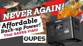 Don't Lose Fish in a Power Outage (Like I Did) - an Affordable Solution! *OUPES EXODUS 1500*