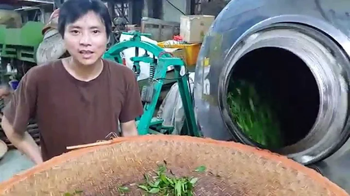 【代欣茶人】绿茶炒菁、成形与焙干过程 - 天天要闻