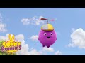 SUNNY BUNNIES - Sunny Harvest | Season 4 | Cartoons for Children