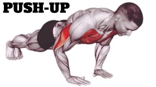PUSH-UP Exercises for (chest and triceps muscle growth) |