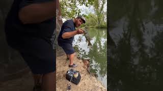 Smallmouth bass fishing gasconade river Missouri ozarks